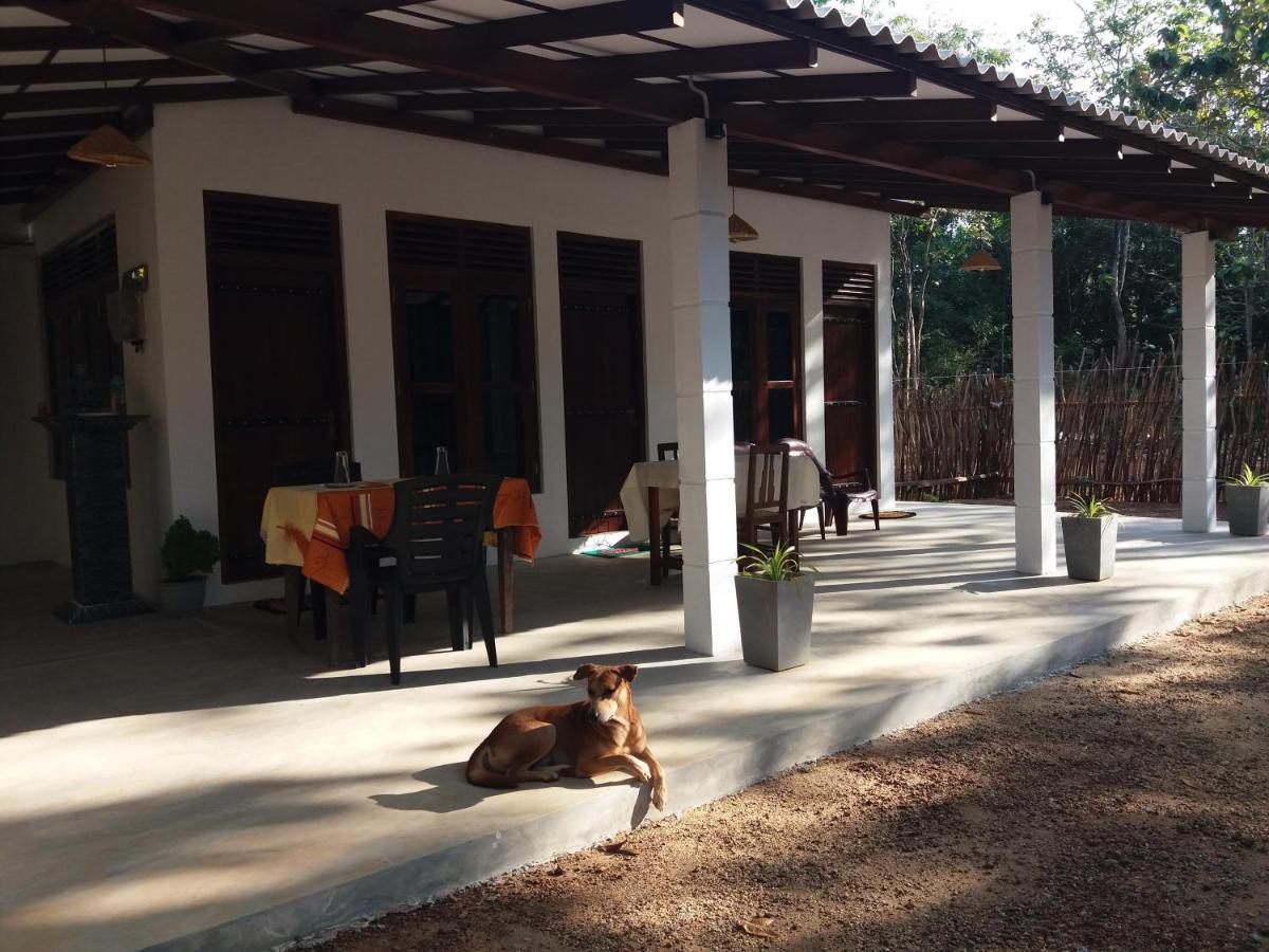 Cashew Villa Hiriketiya Dikwella Extérieur photo
