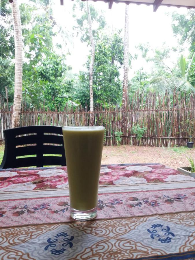 Cashew Villa Hiriketiya Dikwella Extérieur photo