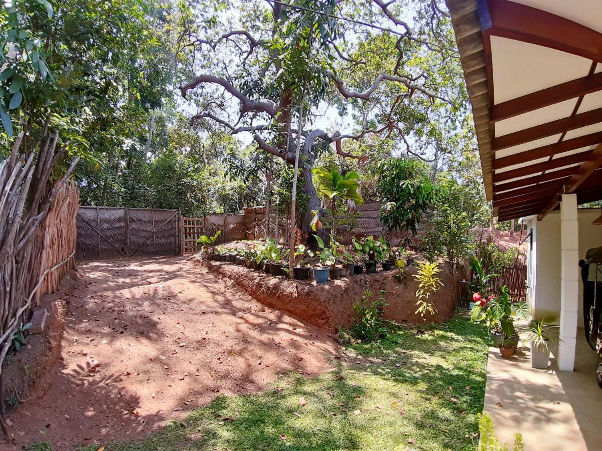 Cashew Villa Hiriketiya Dikwella Extérieur photo